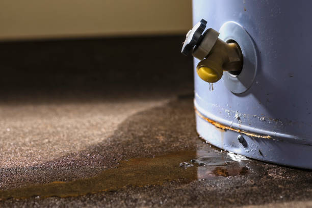 Best Water damage mitigation services  in Zapata, TX