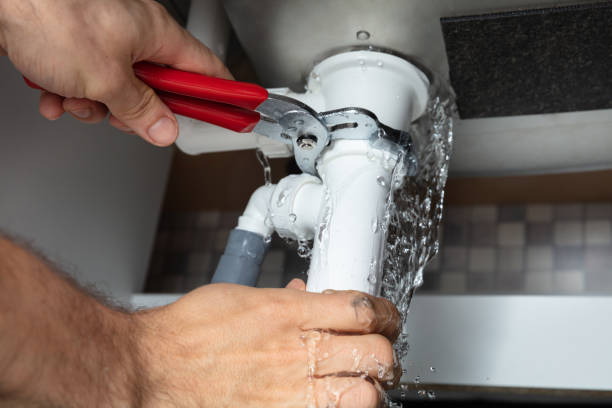 Best Fire Damage Restoration  in Zapata, TX