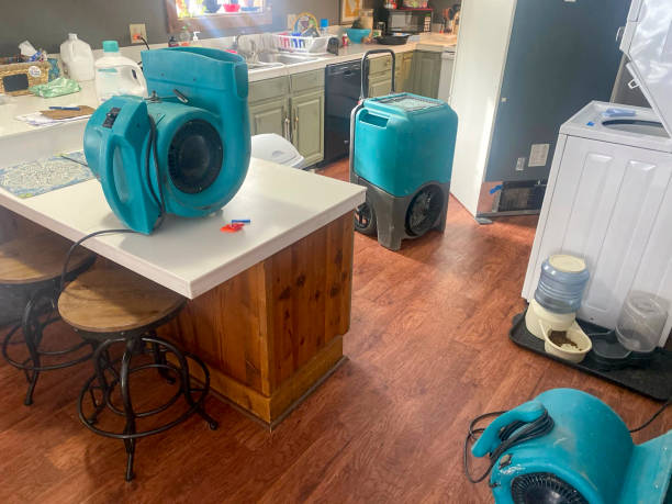 Best 24-hour water damage restoration  in Zapata, TX