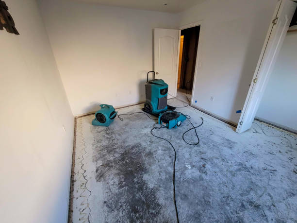 Best Ceiling water damage repair  in Zapata, TX