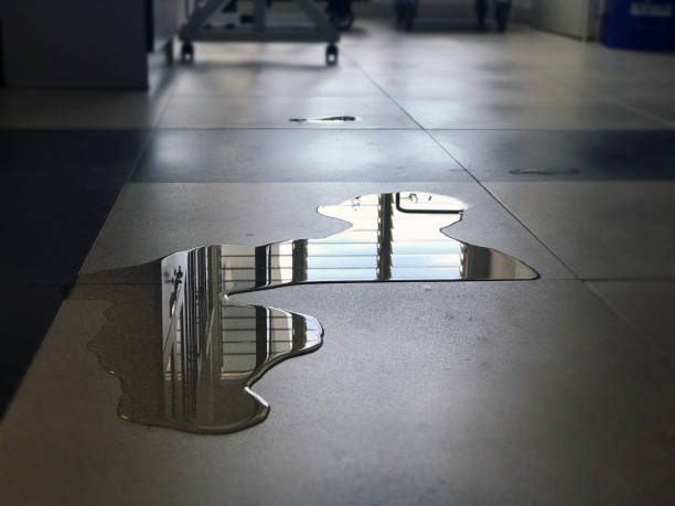 Best Professional water damage repair  in Zapata, TX