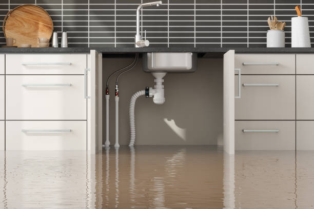 Best Carpet water damage restoration  in Zapata, TX