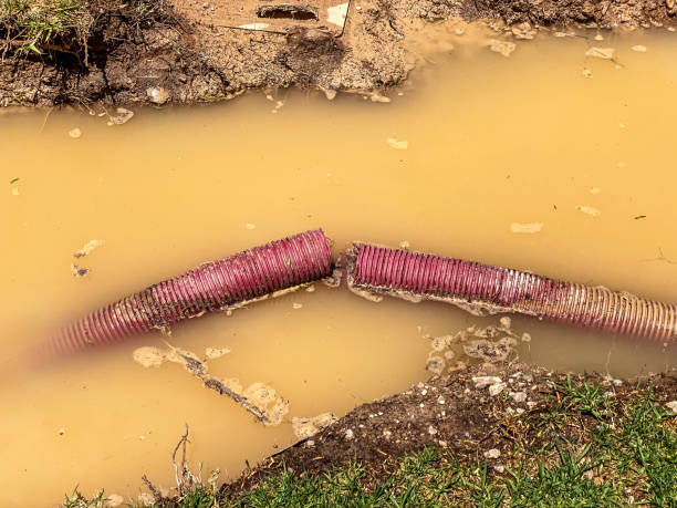 Best 24/7 water damage repair  in Zapata, TX