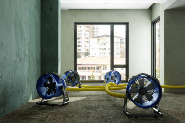 Best Water damage contractors near me  in Zapata, TX
